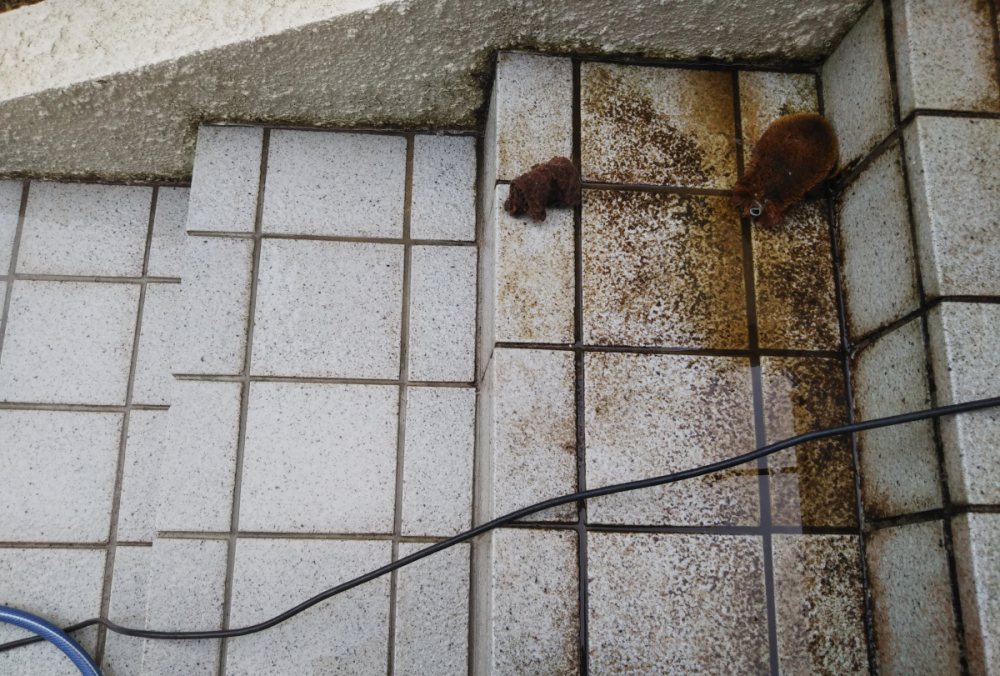 立ち上がり 巾木をするには「手がいい」