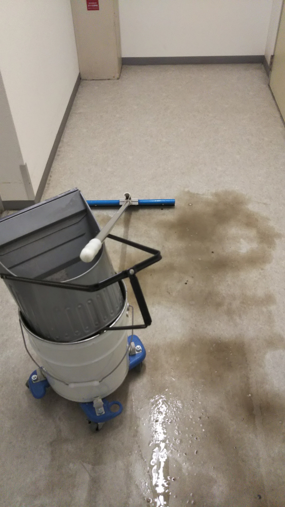 かっぱいで回収は手早く、乾いたら意味がない