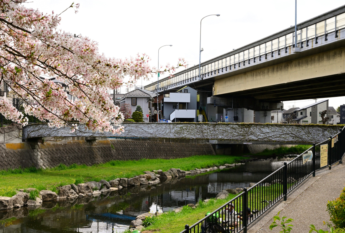 調布市を流れる「野川」