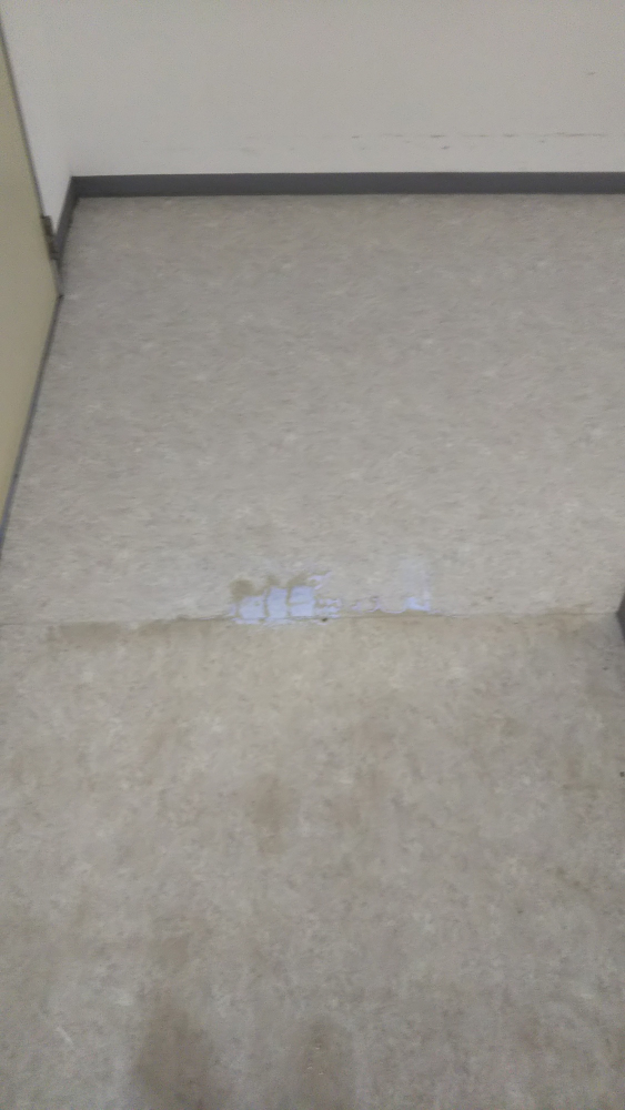 ポリッシャー洗浄は、黒白がクッキリと分かれる