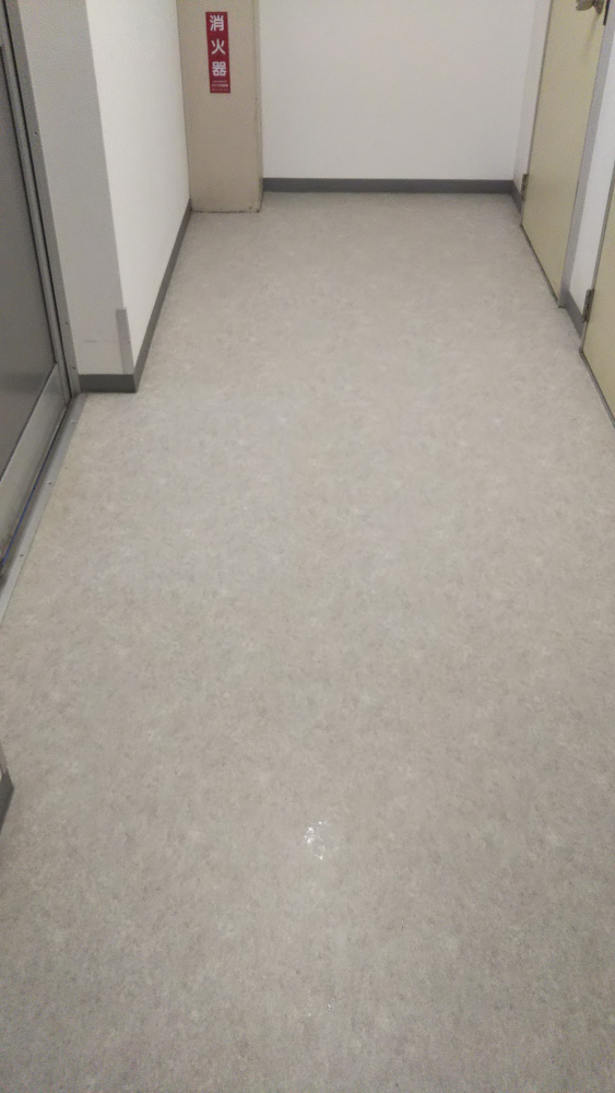 深く磨いてこそプロの腕「お金をもらう価値」