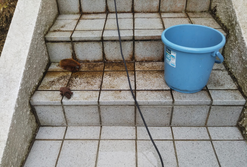 「敵は石」染み込んだ汚れに立ち向かう