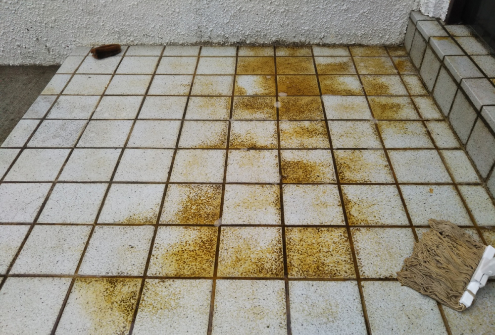 洗剤効果で 汚れが浮いた石床